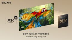 Google Tivi True RGB Sony 65 Inch BRAVIA 7 II K-65XR70M2 ảnh 8
