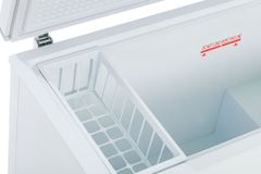 Tủ đông Alaska 295 lít BD-400 ảnh 4
