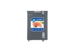 Tủ đông Hòa Phát 107 lít HPF AD6107G ảnh 1