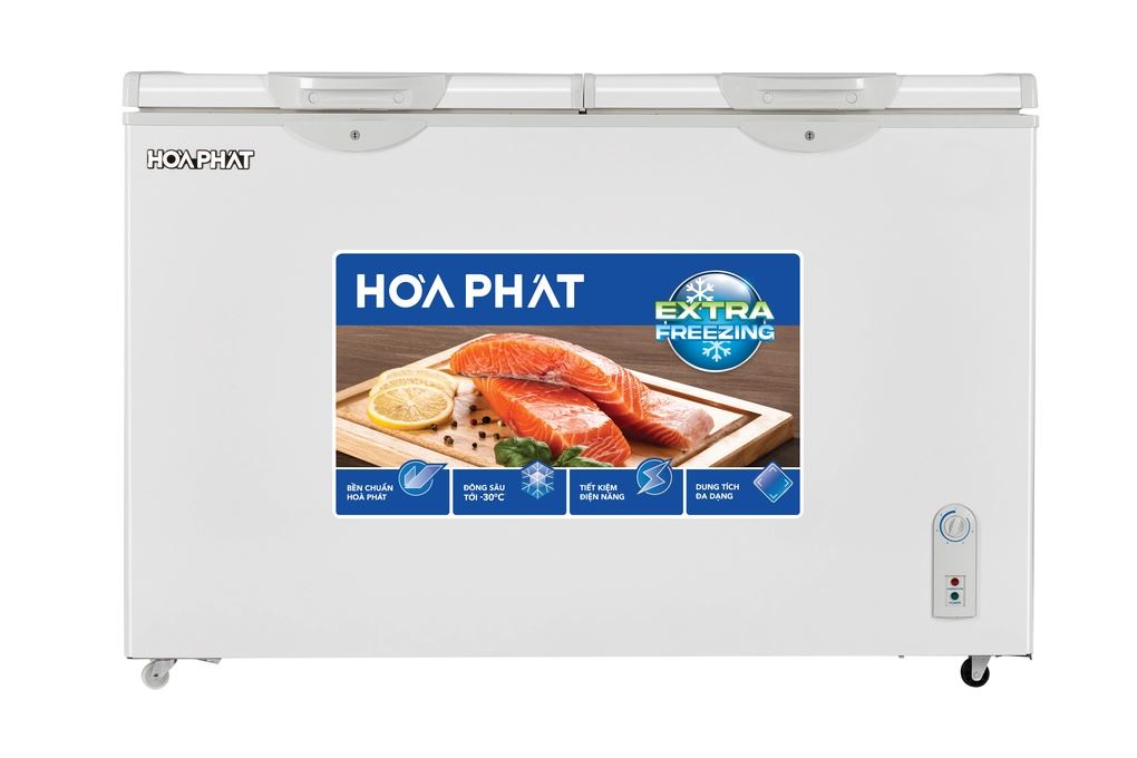 Tủ đông Hoà Phát BN6245