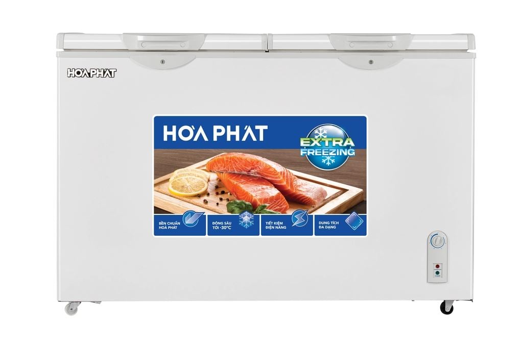 Tủ đông Hoà Phát AN6352