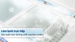 Tủ đông Hòa Phát Inverter 271 Lít HPF BD8271 ảnh 4