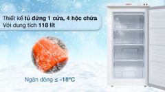Tủ đông Sanaky 118 lít TD.VH160VD ảnh 2