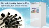  Tủ đông Sanaky 118 lít TD.VH160VD 