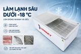  Tủ đông Sanaky 516 lít VH-999K 