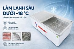 Tủ đông Sanaky 516 lít VH-999K ảnh 3