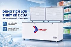 Tủ đông Sanaky 761 lít VH-8699HYK ảnh 3