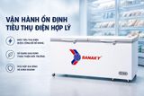  Tủ đông Sanaky 761 lít VH-8699HYK 