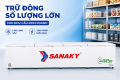 Tủ đông Sanaky Inverter 2000 lít VH-2399HY3