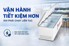 Tủ đông Sanaky Inverter 2000 lít VH-2399HY3 ảnh 3