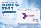  Tủ đông Sanaky Inverter 410 lít VH-5699HY4K 
