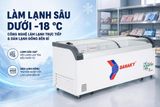  Tủ đông Sanaky Inverter 750 lít VH-1099K3A 