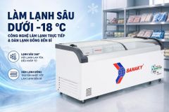 Tủ đông Sanaky Inverter 750 lít VH-1099K3A ảnh 4