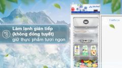 Tủ mát Hoà Phát 195 lít HSR D6195 ảnh 5
