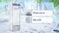 Tủ mát Hoà Phát 280 lít HSR D6280 ảnh 5