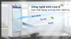 Tủ mát Hoà Phát 280 lít HSR D6280 ảnh 3