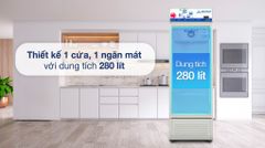 Tủ mát Hoà Phát 280 lít HSR D6280 ảnh 2