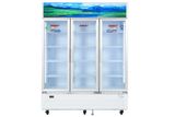  Tủ mát Sanaky 1400 lít TM.VH1520HP 