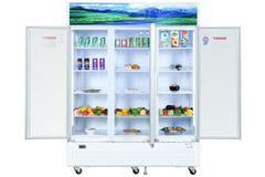 Tủ mát Sanaky 1400 lít TM.VH1520HP ảnh 4