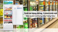 Tủ mát Sanaky 240 lít TM.VH308KL ảnh 4