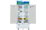  Tủ mát 2 cánh Sanaky 700 lít TM.VH8009HP 
