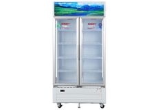 Tủ mát 2 cánh Sanaky Inverter 900 lít VH-1009HP3