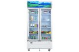  Tủ mát 2 cánh Sanaky Inverter 900 lít VH-1009HP3 
