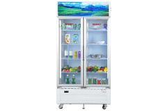 Tủ mát 2 cánh Sanaky Inverter 900 lít VH-1009HP3 ảnh 4