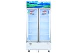  Tủ mát 2 cánh Sanaky 900 lít TM.VH1009HP 