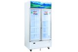  Tủ mát 2 cánh Sanaky 900 lít TM.VH1009HP 