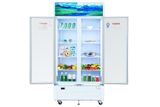  Tủ mát 2 cánh Sanaky 900 lít TM.VH1009HP 