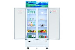 Tủ mát 2 cánh Sanaky 900 lít TM.VH1009HP ảnh 4