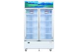 Tủ mát 2 cánh Sanaky Inverter 1100 lít TM.VH1209HP3 