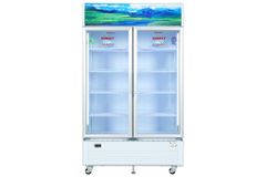 Tủ mát 2 cánh Sanaky Inverter 1100 lít TM.VH1209HP3