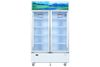 Tủ mát 2 cánh Sanaky Inverter 1100 lít TM.VH1209HP3