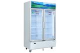  Tủ mát 2 cánh Sanaky Inverter 1100 lít TM.VH1209HP3 
