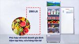  Tủ mát Sanaky Inverter 290 lít TM.VH358K3L 