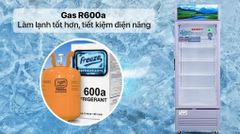Tủ mát Sanaky Inverter 290 lít TM.VH358K3L ảnh 7