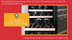 Tủ Bảo Quản Rượu Vang Caso 653 Winecomfort – 38 Chai ảnh 4