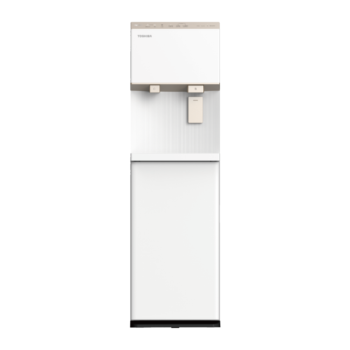 Máy Nước Nóng Lạnh Làm Đá RWF-IW2469BVN(W)