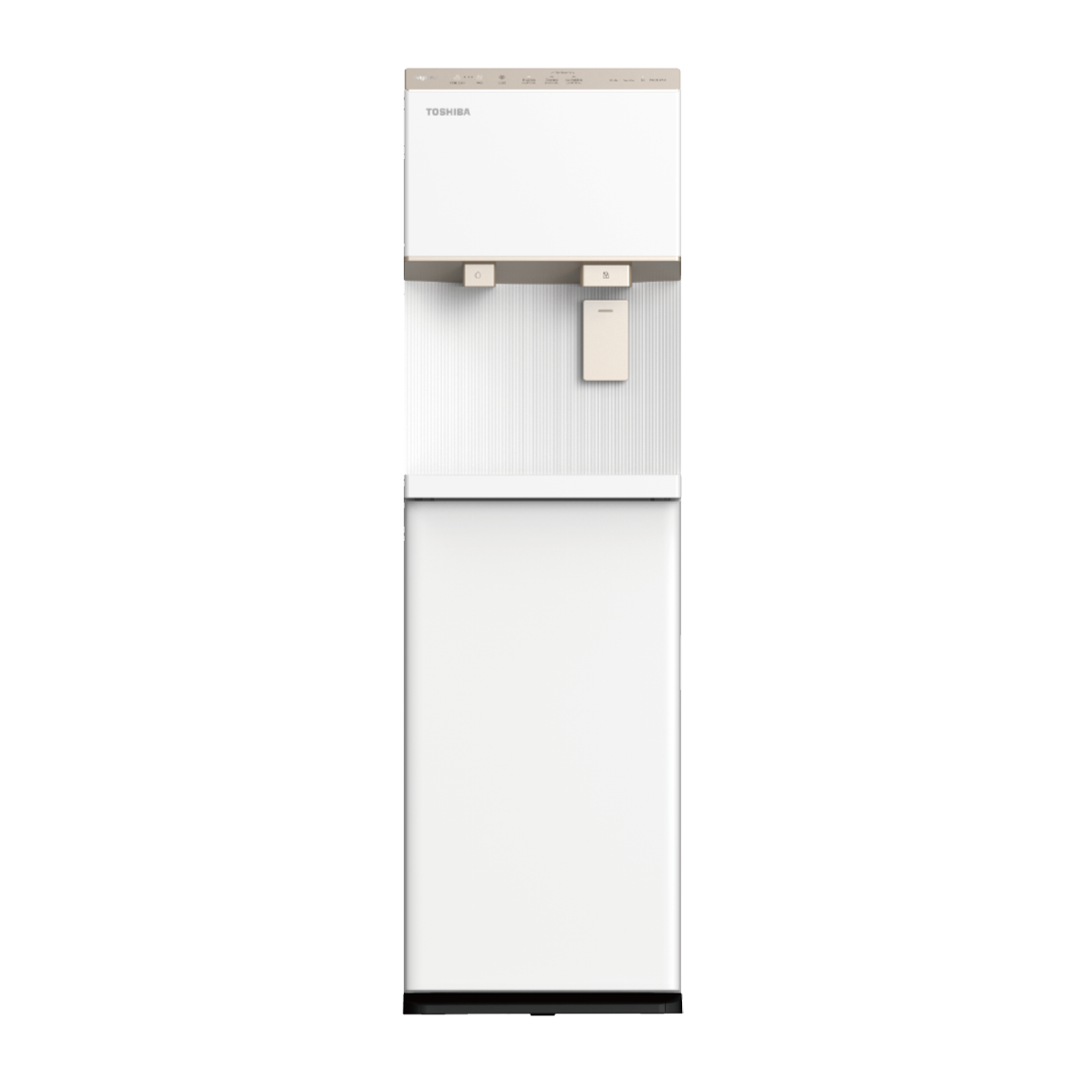 Máy Nước Nóng Lạnh Làm Đá RWF-IW2469BVN(W)