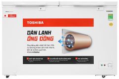 Tủ đông Toshiba Inverter 362 lít GR-RC470CM-PMV(01)