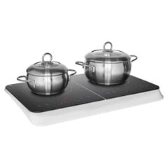 Bếp Từ Đôi Medion MD 18493