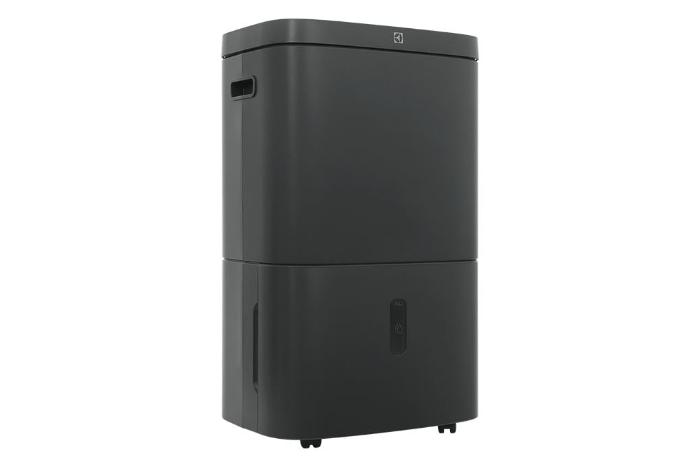 Máy lọc không khí Electrolux EDH16TRBD3 - hình ảnh thực tế