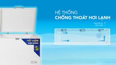 Tủ đông Hòa Phát 1190 lít HPF AD61190 ảnh 4
