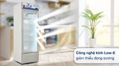 Tủ mát Hoà Phát 242 lít HSR D6242 ảnh 4