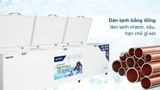  Tủ đông Hòa Phát 1190 lít HPF AD61190 