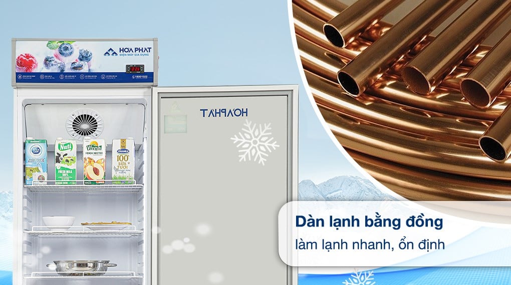 Tủ mát Hoà Phát 242 lít HSR D6242 – ảnh 5