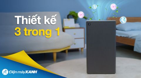Máy hút ẩm kết hợp lọc không khí Sharp DW-T30FV-H
