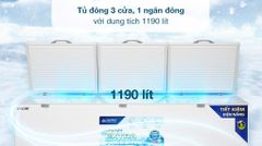 Tủ đông Hòa Phát 1190 lít HPF AD61190 ảnh 6
